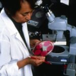 A researcher at work in a medical laboratory