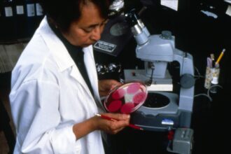 A researcher at work in a medical laboratory