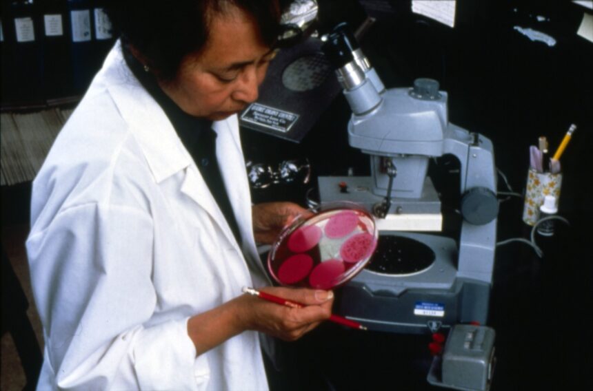 A researcher at work in a medical laboratory